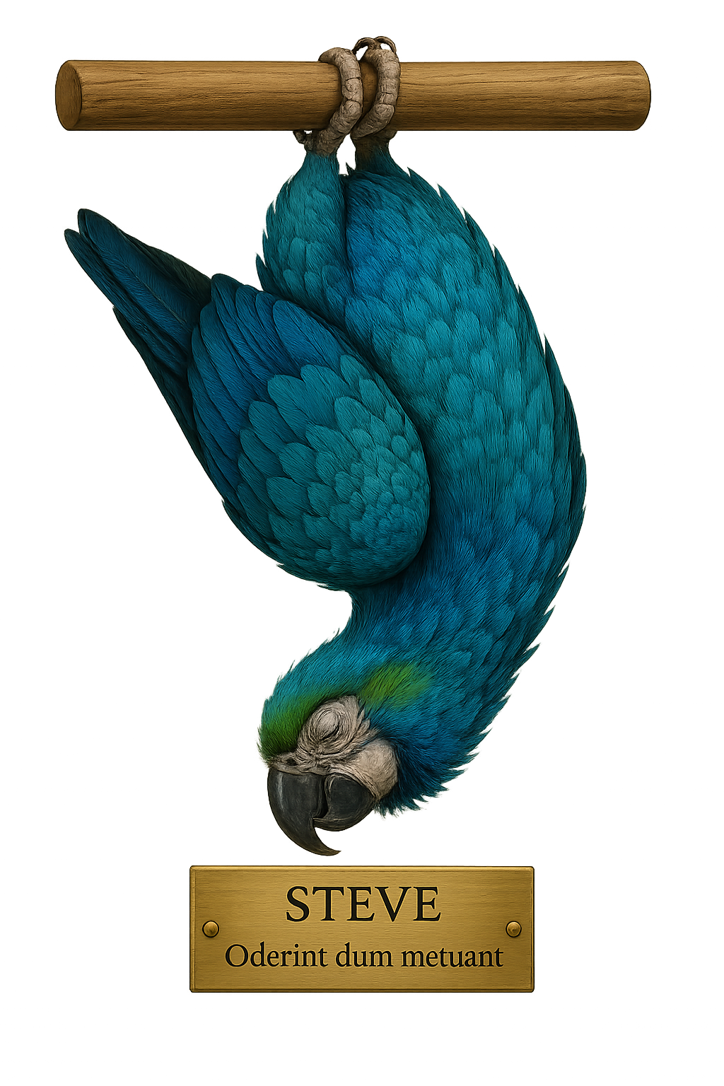 SteveTheParrot
