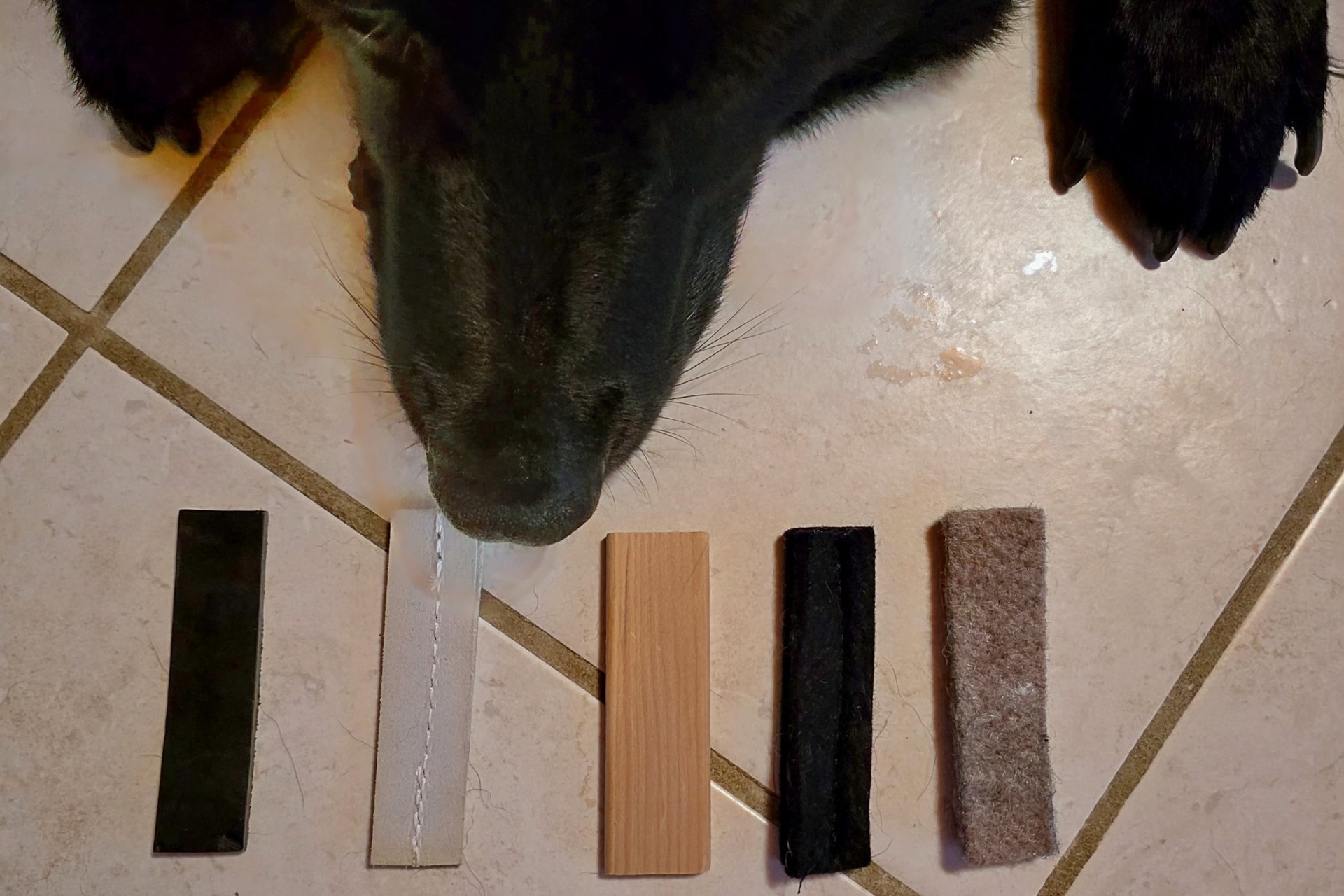 German Shepherd sniffing five tracking articles in leather, wood, and felt